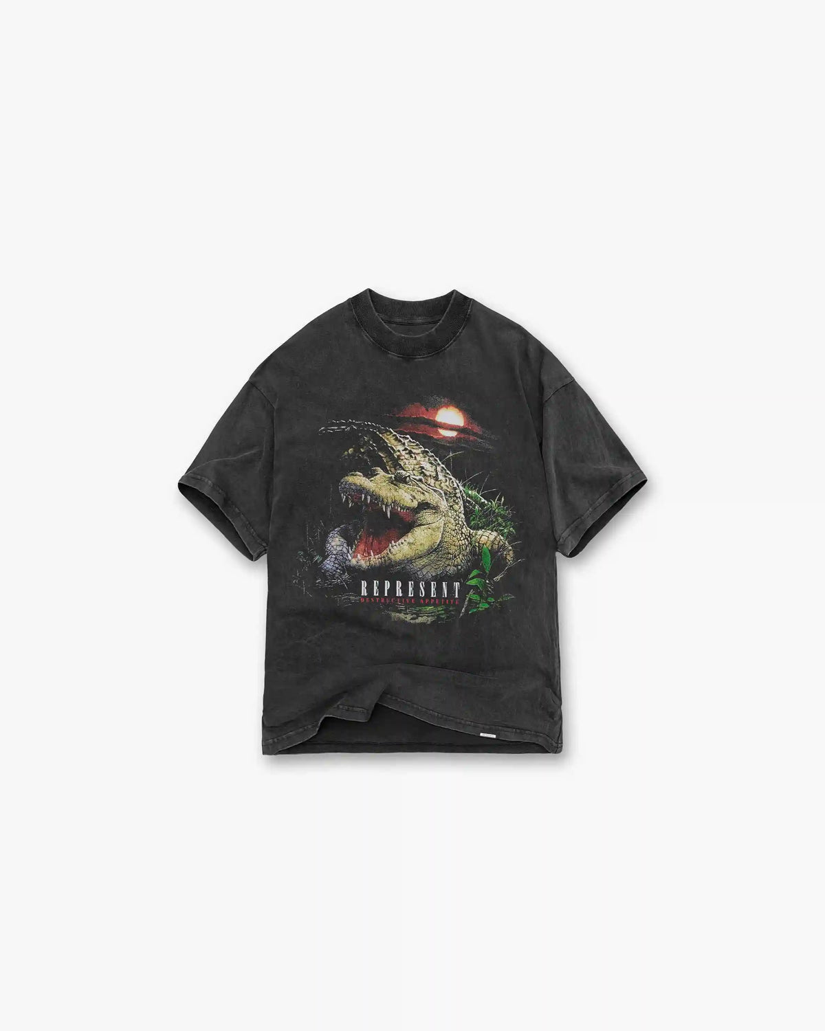 Destructive Appetite T-Shirt - Vintage Grey